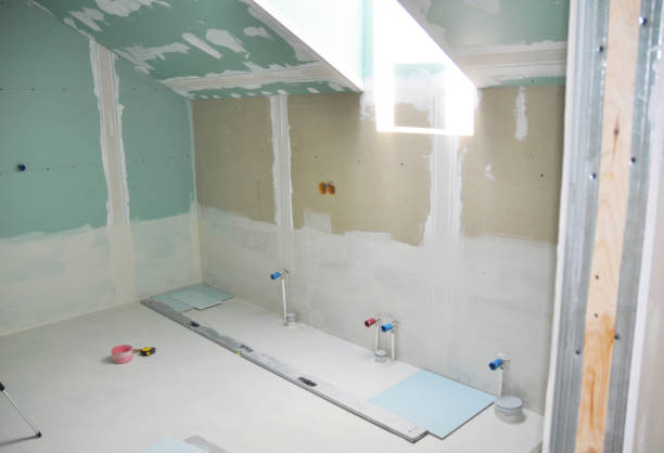Trusted Gibsonton, FL Mold Removal Experts