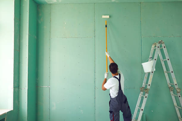 Biohazard Mold Removal in Gibsonton, FL