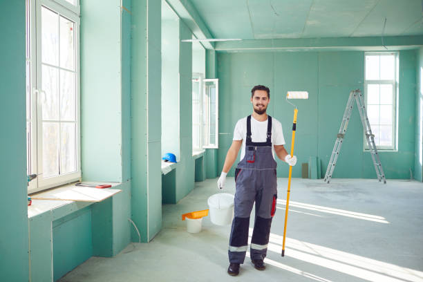 Best Basement Mold Removal  in Gibsonton, FL