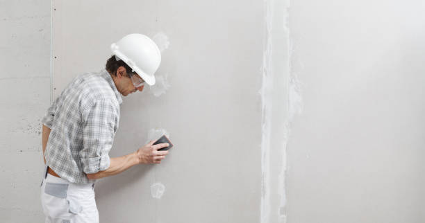Best Attic Mold Removal  in Gibsonton, FL