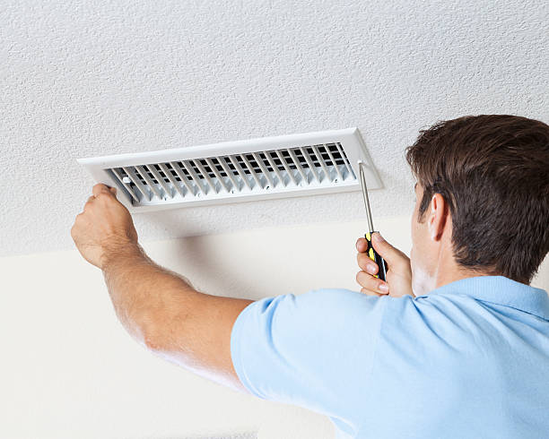 Best Emergency Mold Remediation  in Gibsonton, FL